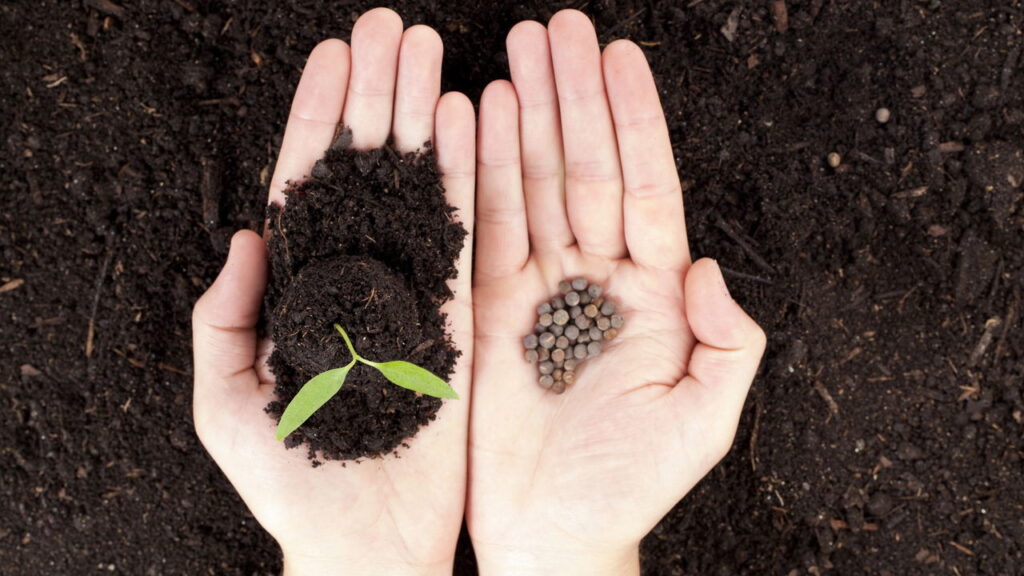 Só isso já basta para suas mudas crescerem fortes