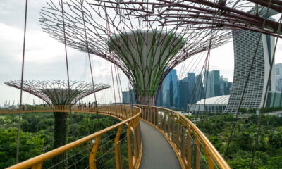 O segredo por trás da cidade mais limpa e segura do planeta