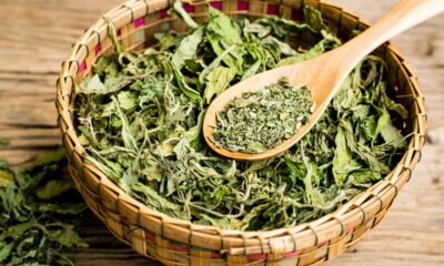 Veja o segredo da Stevia e por que todos estão usando