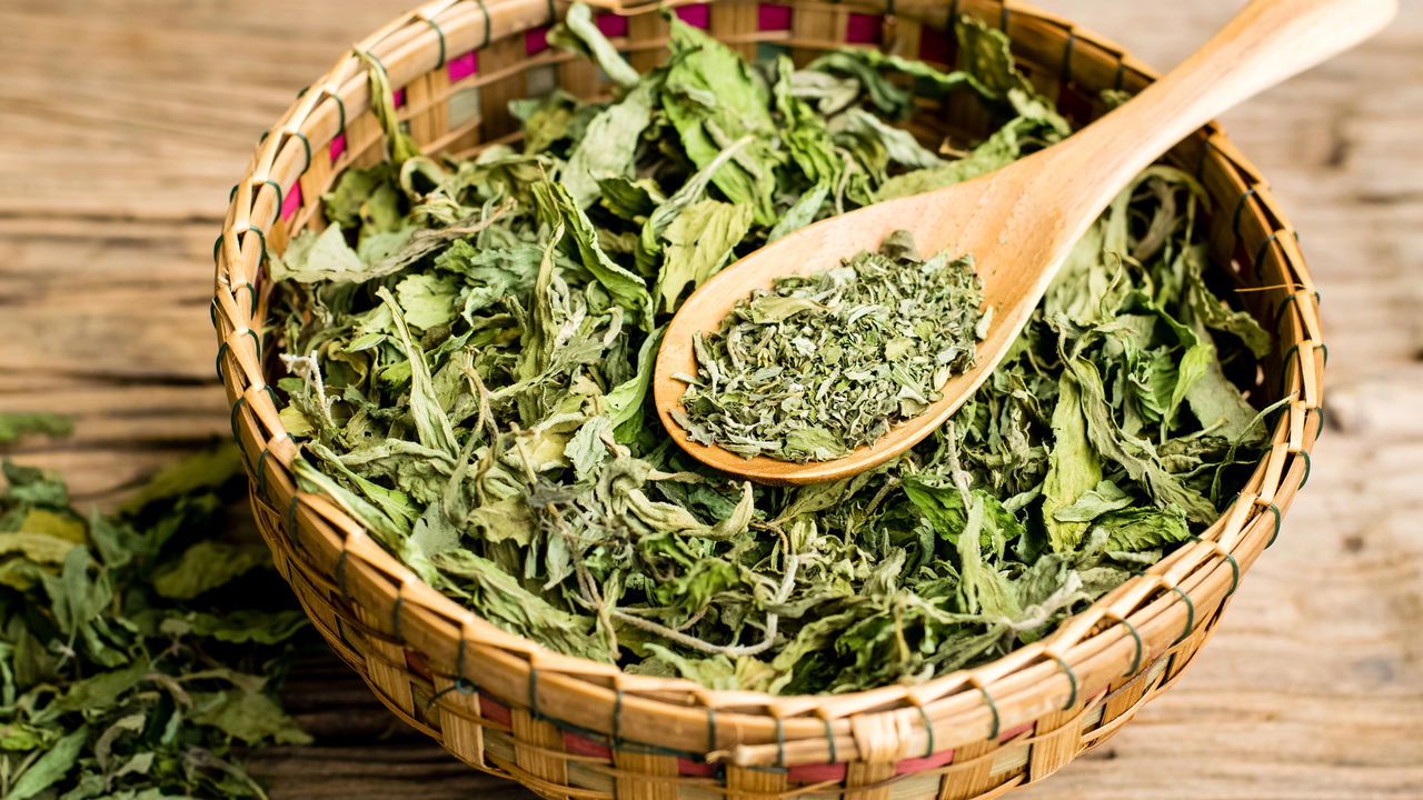 Veja o segredo da Stevia e por que todos estão usando