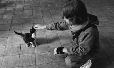 Por que não mostram o rosto? Sandy e Lucas Lima explicam a escolha sobre o filho Theo