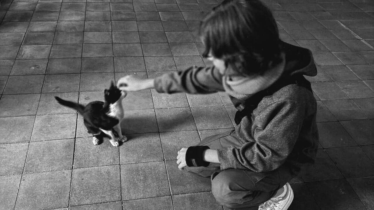 Por que não mostram o rosto? Sandy e Lucas Lima explicam a escolha sobre o filho Theo