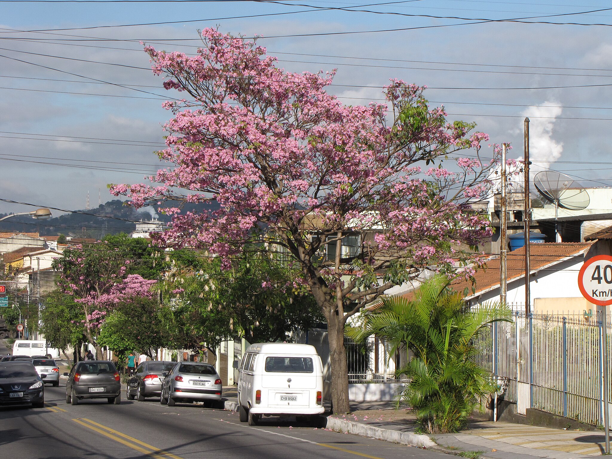 Essa cidade industrial surpreende com segurança e lazer de sobra