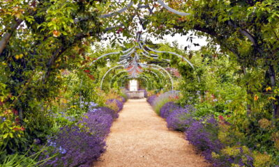 Crie seu jardim inglês! O guia completo do estilo cottage