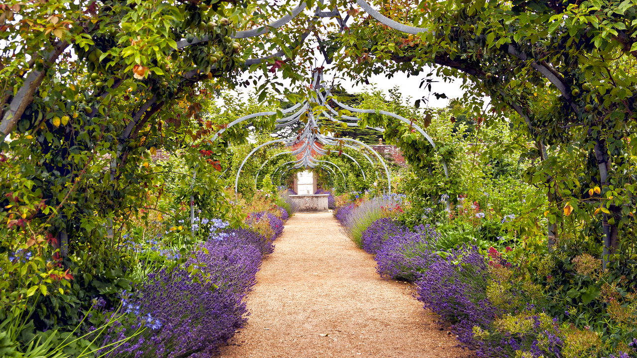 Crie seu jardim inglês! O guia completo do estilo cottage