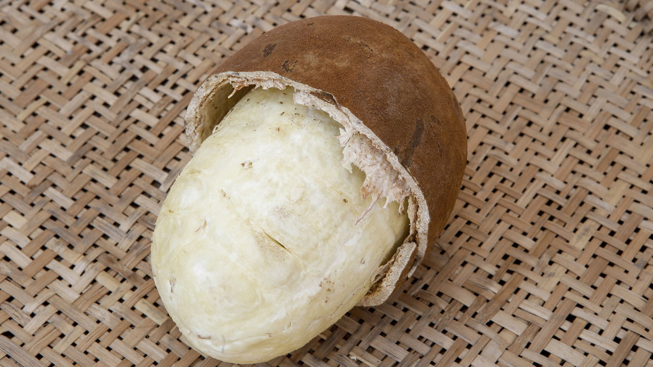 5 frutas da Amazônia que o mundo inteiro quer provar