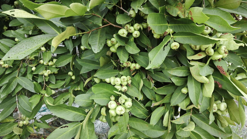 Créditos: depositphotos.com / sweemingyoung