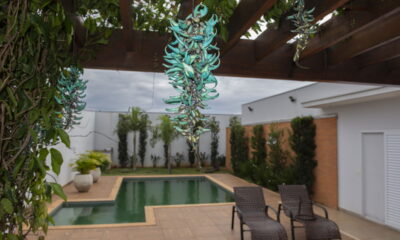 O segredo das flores pendentes! como ter uma Jade espetacular no seu jardim