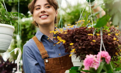 Plantas saudáveis o ano todo! O guia completo da adubação perfeita!