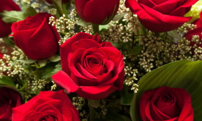 Transforme rosas em um blush perfeito com um truque na air fryer!