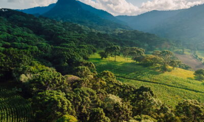 Cidade fria no Brasil se torna destino de ouro para aposentados