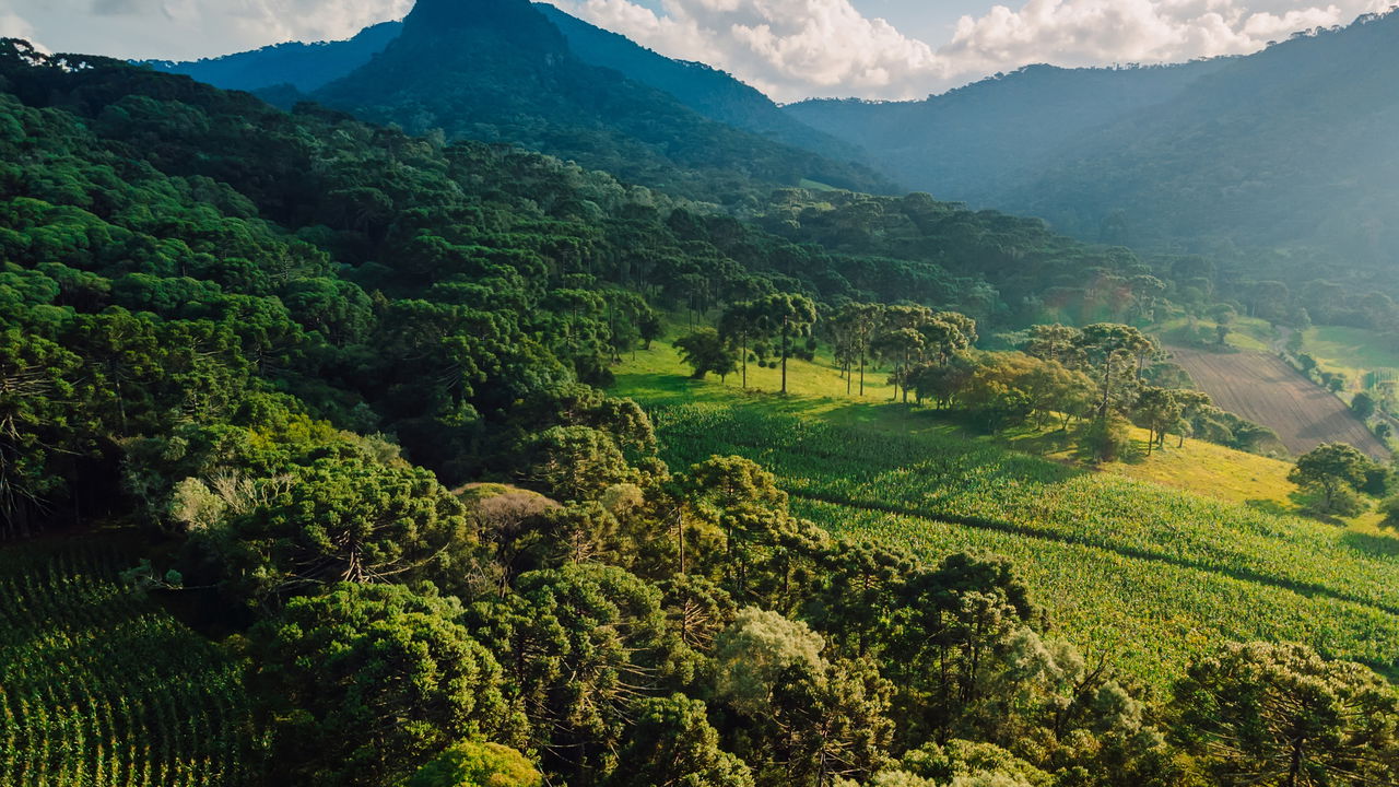 Cidade fria no Brasil se torna destino de ouro para aposentados