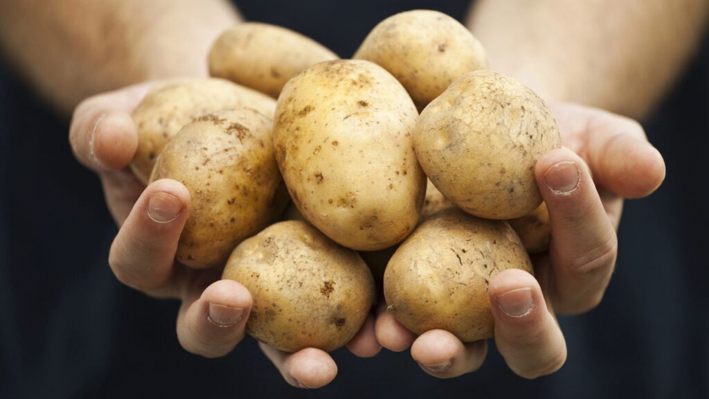 Troque o pão por esse sanduíche feito de batatas e se surpreenda