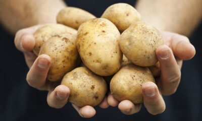 Esse truque vai conservar batatas por mais tempo em casa