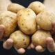 Esse truque vai conservar batatas por mais tempo em casa