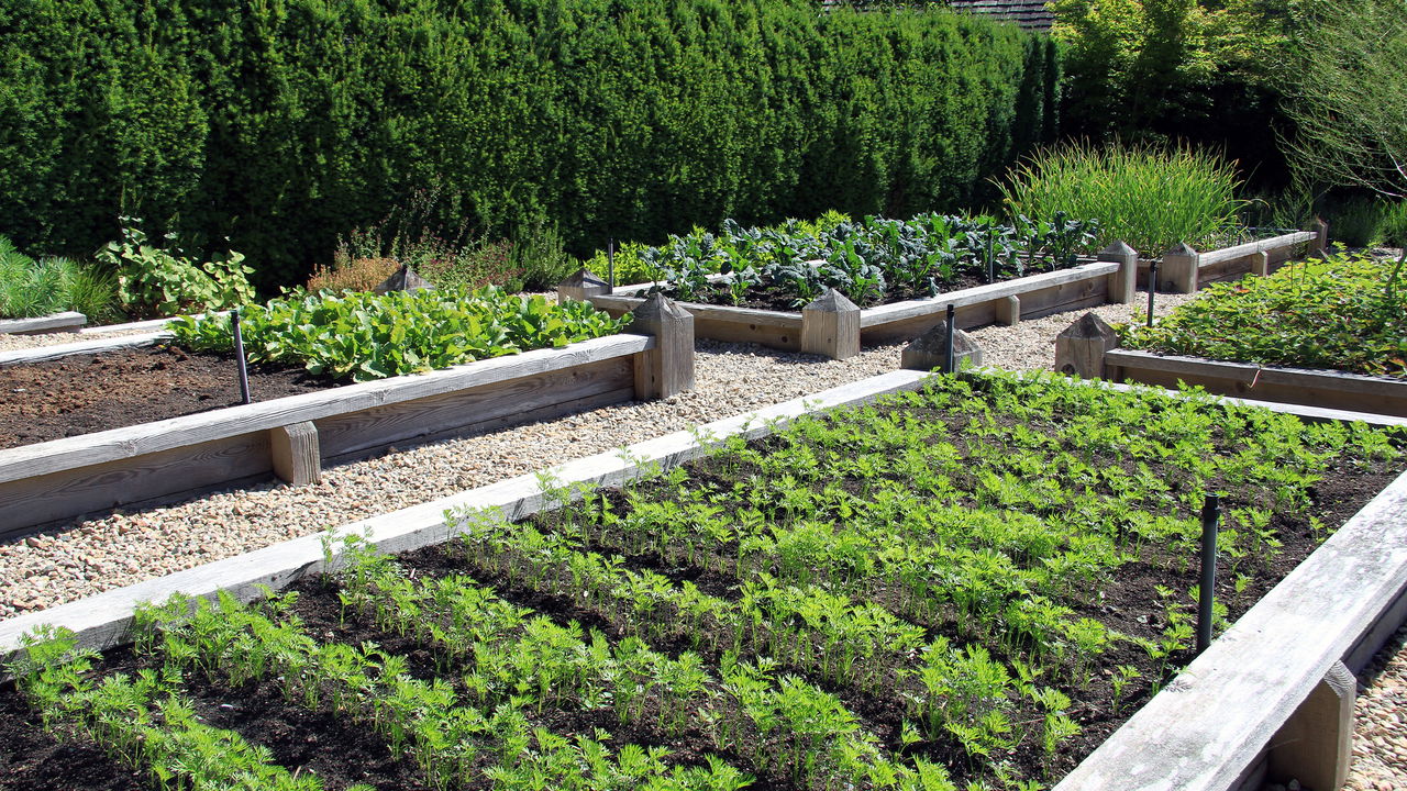 Vantagens surpreendentes dos canteiros elevados no seu jardim
