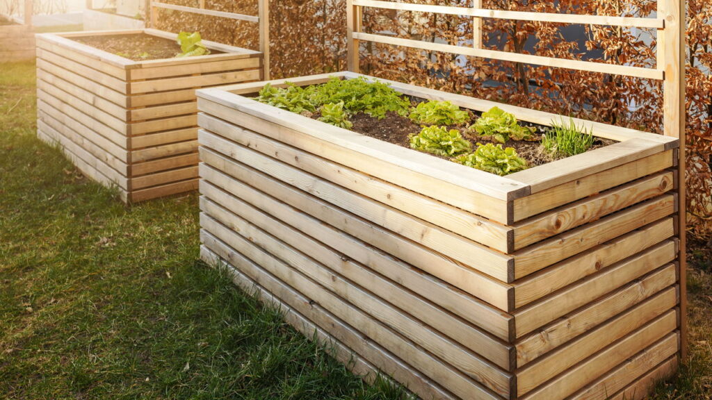 Vantagens surpreendentes dos canteiros elevados no seu jardim