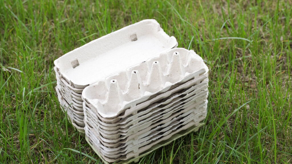 3 formas incríveis de usar cartelas de ovos no seu jardim