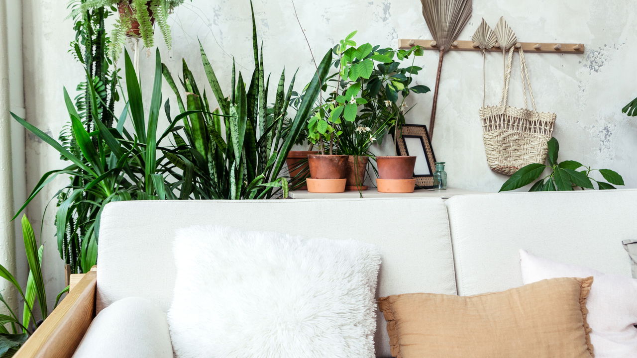 Transforme seu ambiente com dicas de decoração surpreendentes