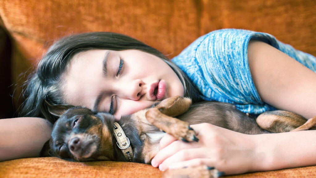 Cresce o número de pessoas que dormem com pets, mas especialistas alertam