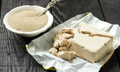 Crie o seu fermento natural e faça pães incríveis do zero!