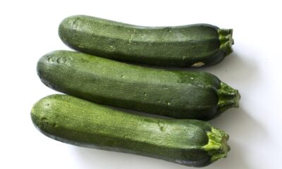 “Falando abobrinha”: descubra a origem da expressão e as vantagens do legume que ajuda na dieta