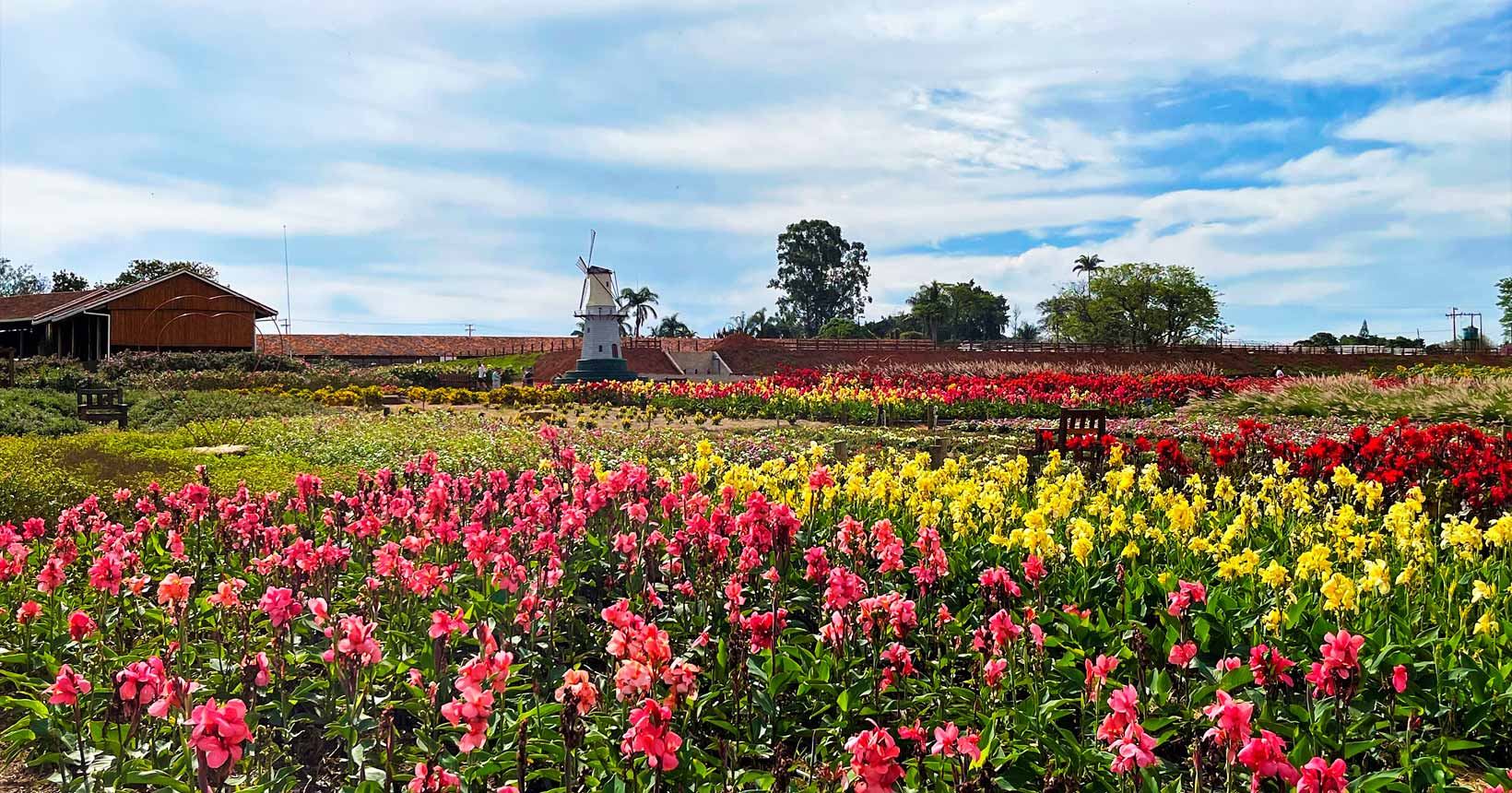 O segredo que faz essa cidade ser o lugar dos sonhos de muitas famílias
