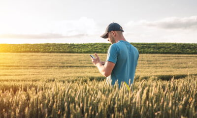 Internet via satélite está levando conexão aonde nunca chegou