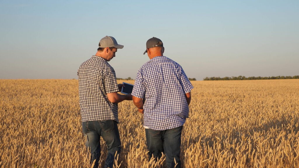 Internet via satélite está levando conexão aonde nunca chegou