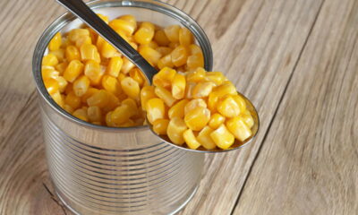 Essa solução com latas de milho e plantas virou tendência sustentável