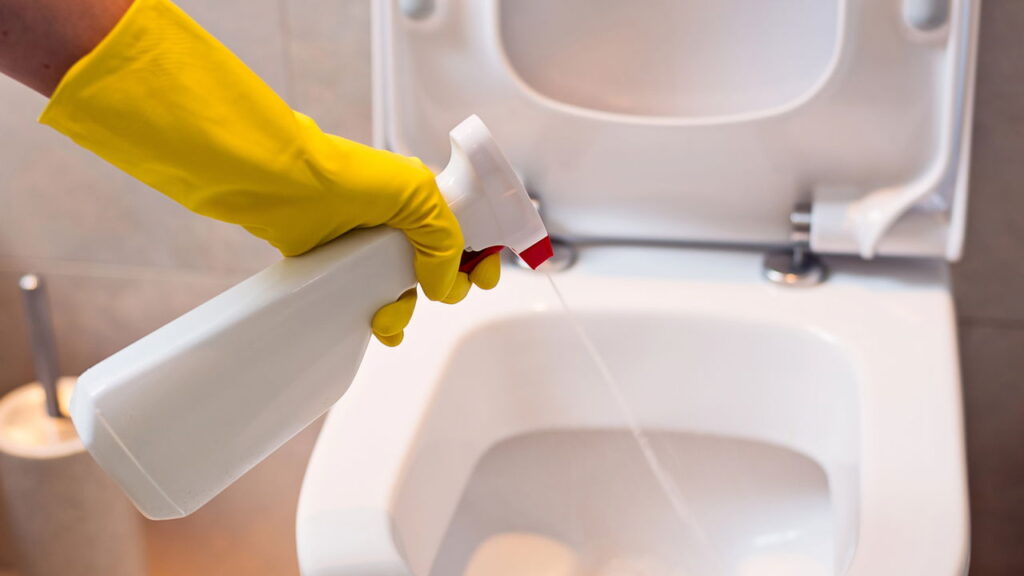 Segredo caseiro para limpar vaso sem produtos químicos