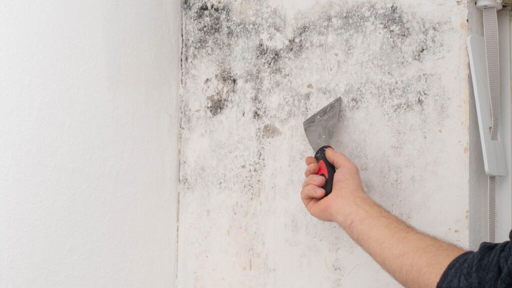 O erro comum no banheiro que favorece o mofo preto