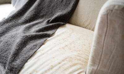 O melhor método para eliminar mofo e cheiro de umidade