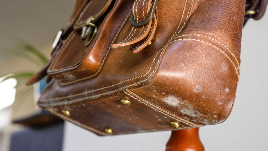 O melhor método para eliminar mofo e cheiro de umidade