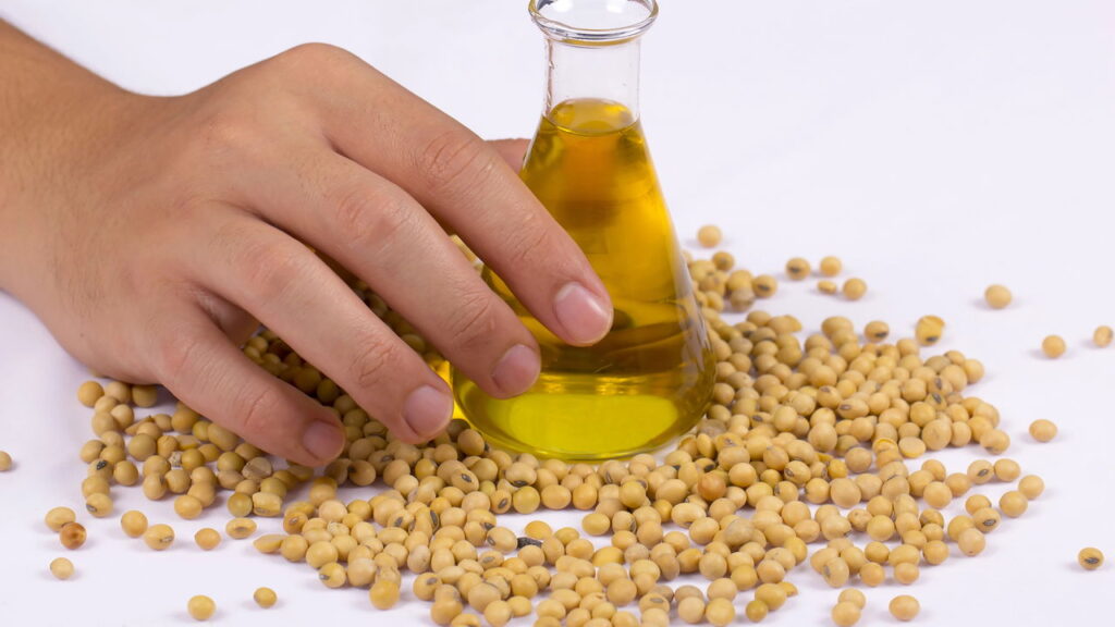 Banha de porco ou óleo de soja? Especialistas contam qual gordura é mais saudável