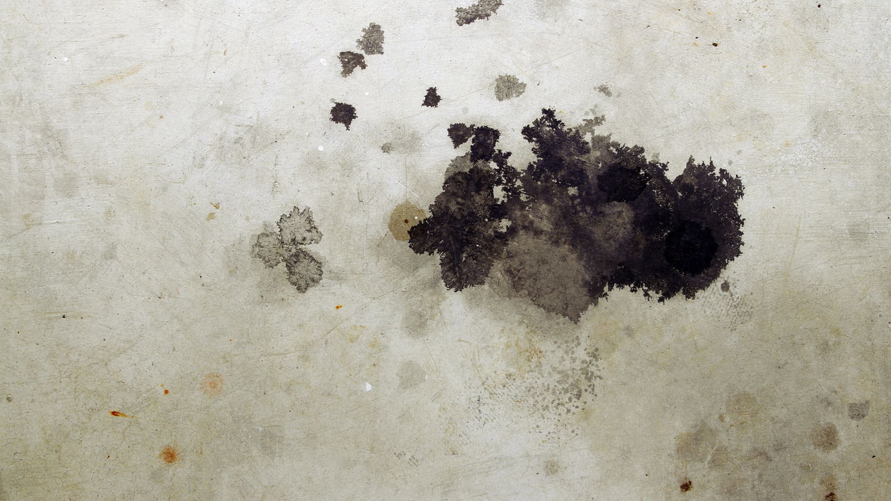 Piso encardido nunca mais com esse método simples