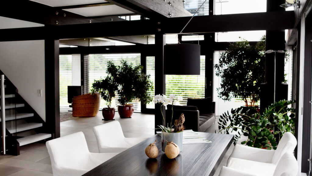 Planta comum em casa pode atrair baratas sem você notar