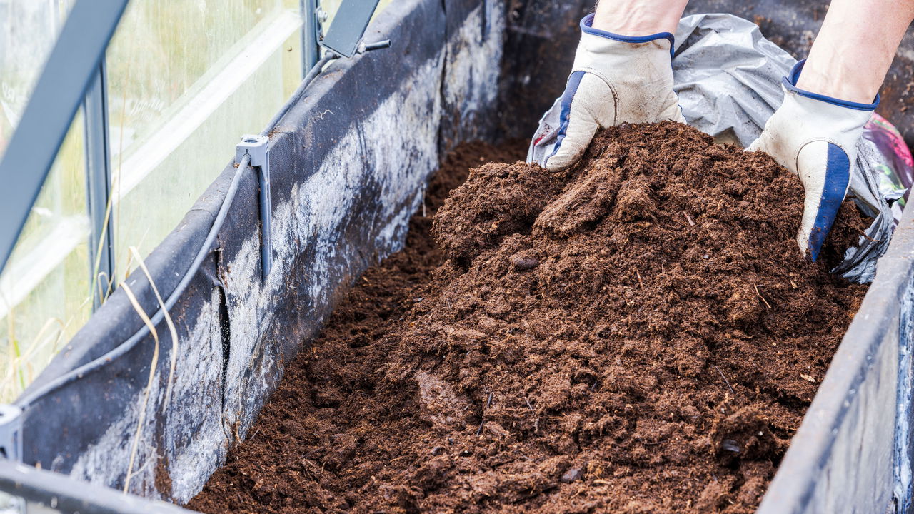 Chega de perrengue! Aprenda a fazer o substrato certo para cada planta