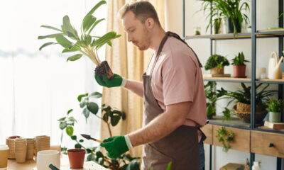 O melhor passo a passo para trocar vaso sem estressar a planta