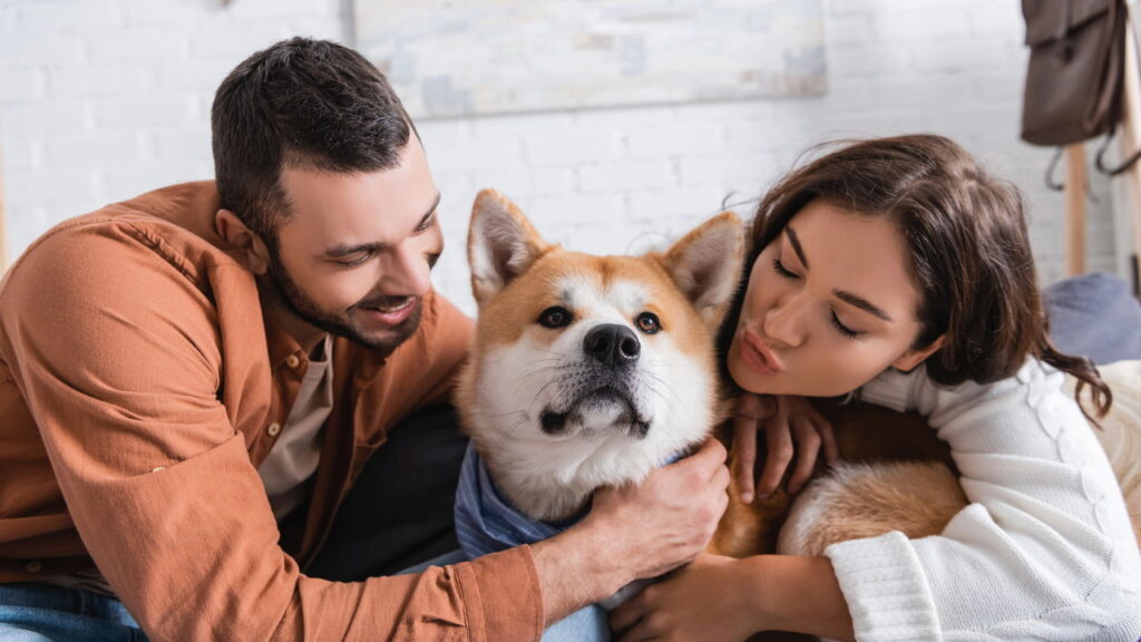 15 raças de cachorro que latem pouco e são ideais para lares tranquilos