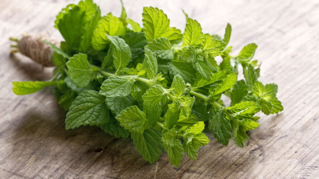 Essa planta simples elimina dores de cabeça naturalmente
