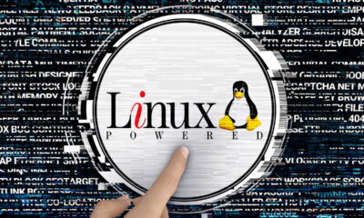Novo Linux roda até em celular antigo com só 1 GB de RAM