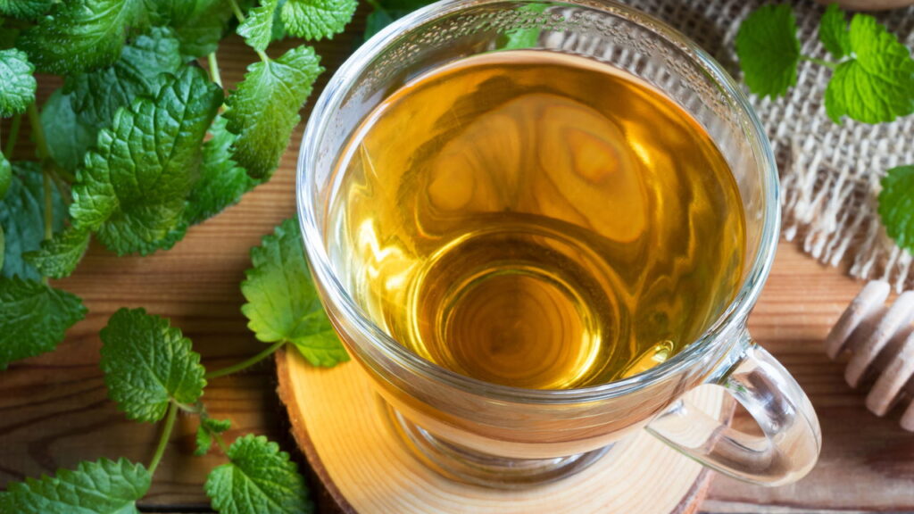 A planta que combate ansiedade e ainda perfuma a casa
