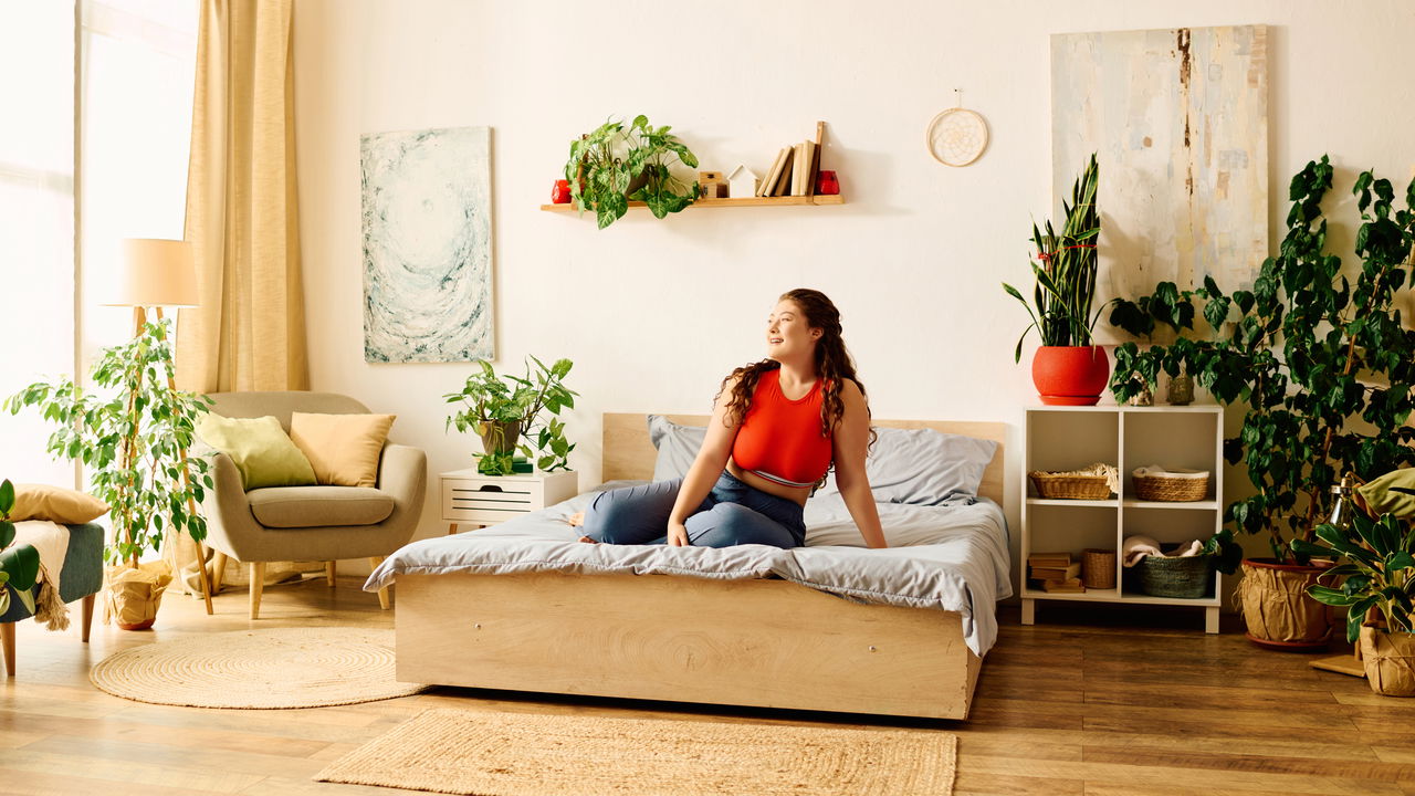 Plantas para o quarto que ajudam você a dormir melhor