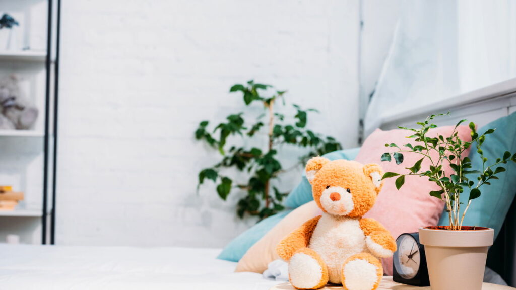 Plantas para o quarto que ajudam você a dormir melhor