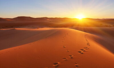 O maior deserto do mundo foi revelado e não é o Saara