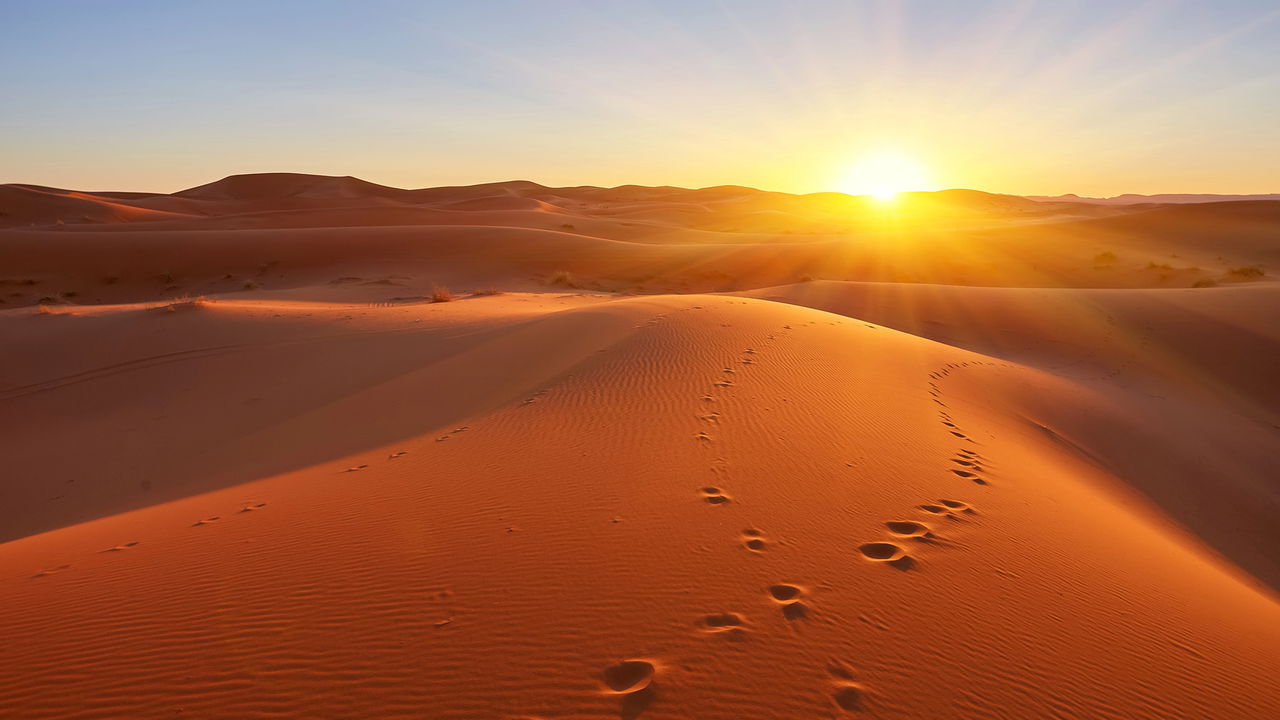 O maior deserto do mundo foi revelado e não é o Saara