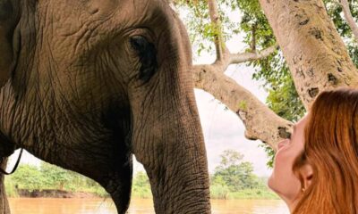 Elefantes, silêncio e luxo! A viagem de Giovanna Ewbank e Gagliasso à Tailândia