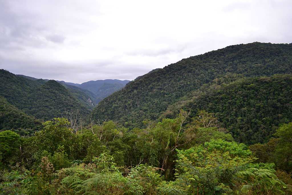 Essa cidade quase não registra crimes e impressiona o país