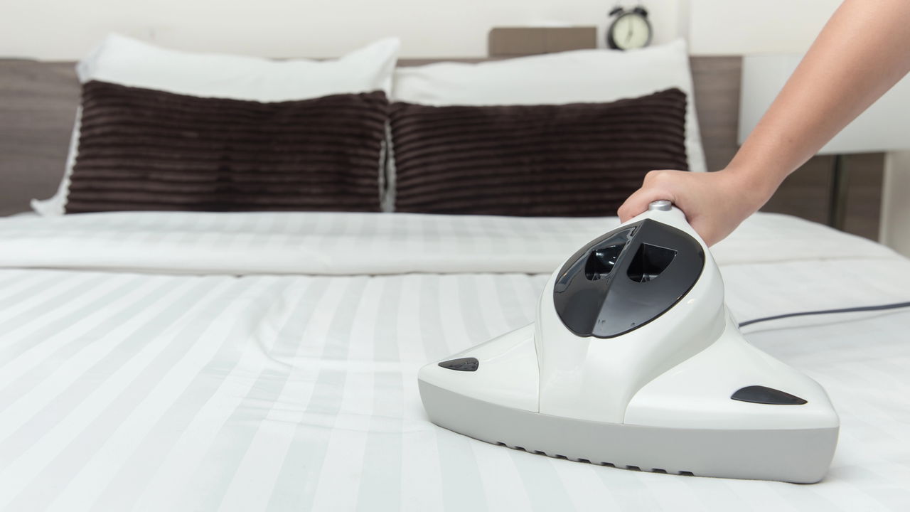 Adeus ácaros! A solução caseira secreta para um lar livre de alergias!